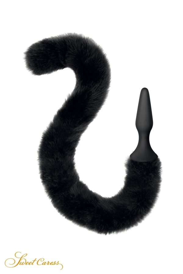 18677-1730395602.jpg Plug noir queue de chat - Sweet Caress